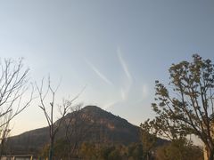 -桃花岛景观公园