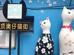 -猫咪博物馆(顶澳仔猫街店)