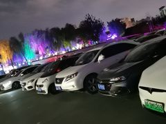 -枫花园汽车电影院(朝阳公园店)