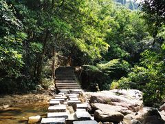 -广州白江湖森林公园