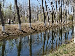 -东郊湿地公园