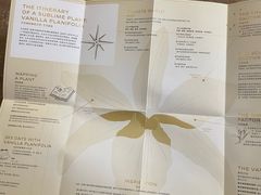 -CHANEL(友谊商店店)