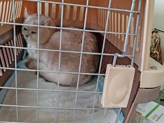 -酷宠动物医院(天通西苑店)