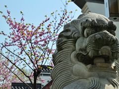 -堤角公园