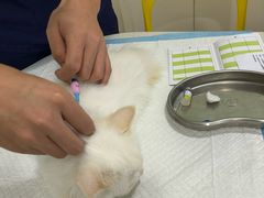 -佳雯宠物医院·皮肤科·内外科(春晓路分院)