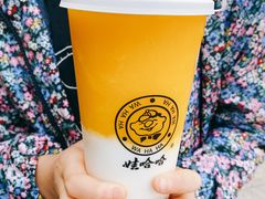 椰汁杨枝甘露-娃哈哈·奶茶(武林店)
