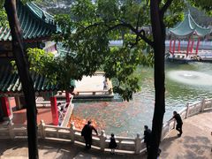 -广东圆玄道观