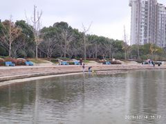 -新江湾城公园