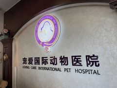 -宠爱国际动物医院·疑难骨科·心肾内科·皮肤科(太阳宫店)
