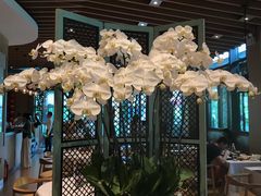 -若蘭慈·无国界素食料理(欢乐海岸店)