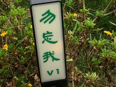 -悦见花开·花园里的火锅·露营·下午茶