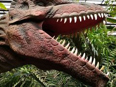 -呀路古热带植物园-恐龙馆