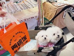 -友谊阳光城