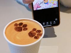 -Seesaw Coffee(上生新所店)