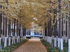 -北京国家会计学院