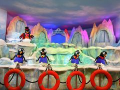 -帝企鹅自助餐厅•儿童岛•真企鹅(长隆企鹅酒店)