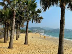 -大梅沙海滨公园