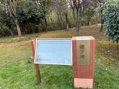 -盘龙城国家考古遗址公园