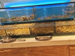 -冀粤香海鲜自助餐厅(西美五洲店)
