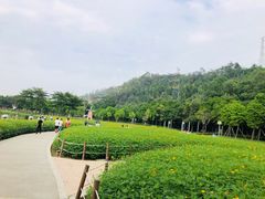 -顺峰山公园