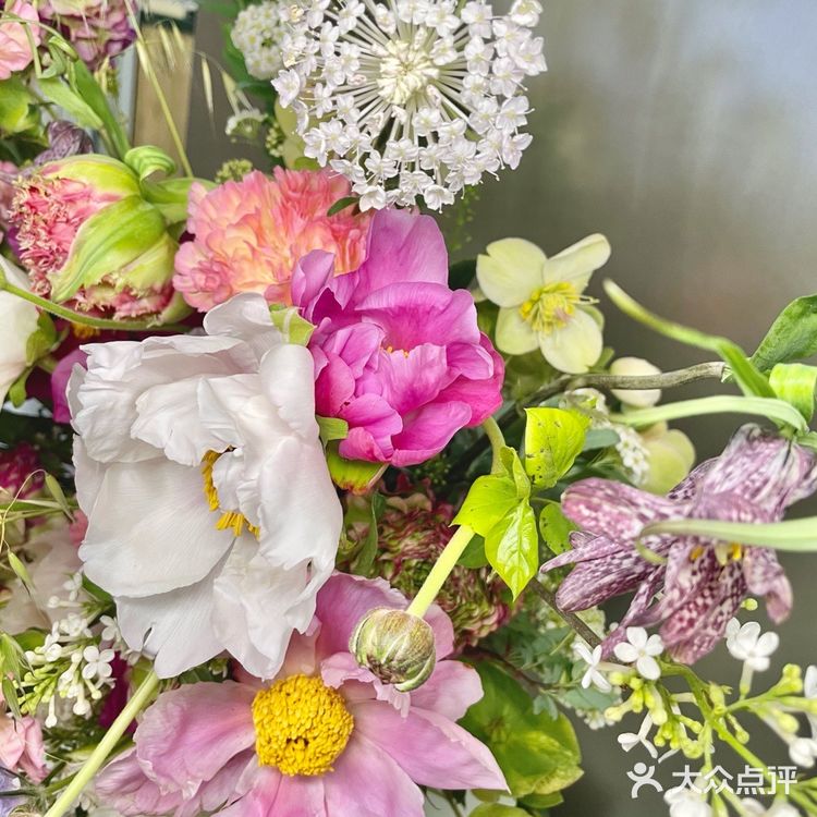 北京探店| 三里屯超B格小众集合花店[胜利]