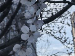 -大望京公园