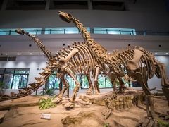 -自贡恐龙博物馆