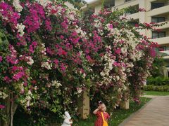 -三亚亚龙湾天域度假酒店