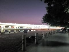 -演武大桥观景平台