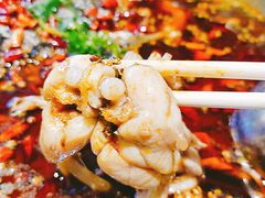 -味之绝美蛙鱼头火锅(高新店)