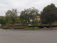 -咸宁太乙国际温泉度假村