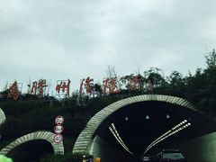 -胶州湾海底隧道
