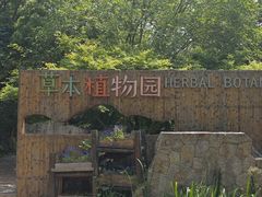 -同里国家湿地公园
