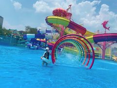 -海合安成都极地海洋公园