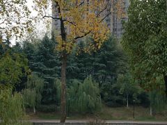 -四里河滨水生态公园