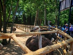 -大连森林动物园