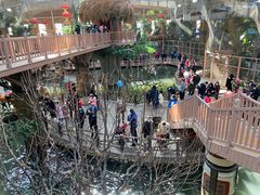 -南宫五洲植物乐园