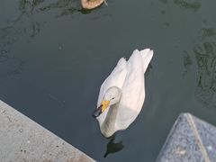 -北京动物园