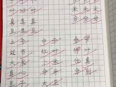 -赵汝飞练字硬笔书法(静安大融城校区)