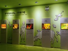 -歌斐颂巧克力小镇