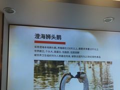 -陆记鹅庄·潮汕菜·狮头鹅(大仟里店)