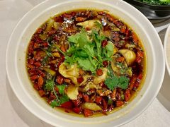 水煮鱸魚-金满楼(天河中路店)