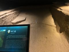-秦始皇帝陵博物院-丽山园