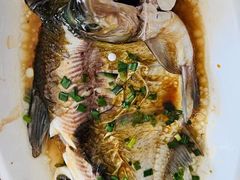-东江湖游水三文鱼美食城