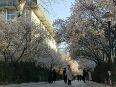 -山东师范大学(千佛山校区)
