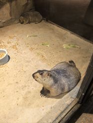 -酷嗒动物文化乐园(cutezoo西溪乐天城店)