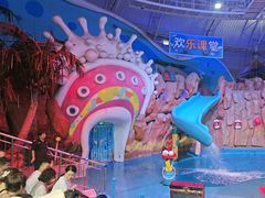 -烟台海昌鲸鲨海洋公园