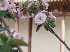 -张掖大佛寺景区