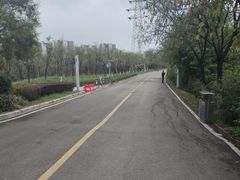 -广东花都湖国家湿地公园