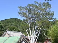 -潭柘寺景区
